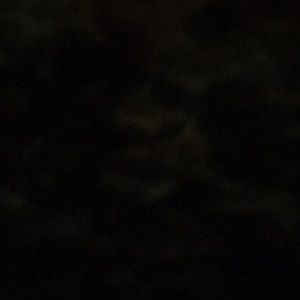 Meet your Posher, Harold